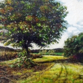 Bond (1) Img #1  The Pond Path