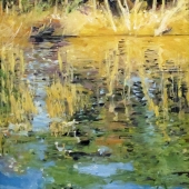 Burroughs (1) Img #1 Reflections on Cranberry Lake 1