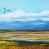 DAmico (1) Img #1  Catching Thermals