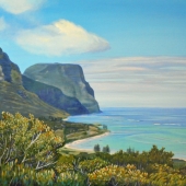 Elliott (1) Img #1  Lord Howe Island