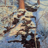 Hayslip (1) Img #1 Snow Patterns