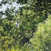 Hon. Mention - Paint - Phillips-D (1) Img #2  Snapshot Forest of Dean