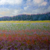 McKinson (1) Img #1  Wildflower Meadow