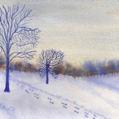 Proffit (1) Img #1  Winter Valley