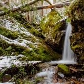 5th Place - Photo - Schertz (1) Img #3  Secret Falls