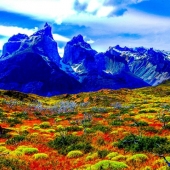 Boze (1) Img #5  Patagonia 5