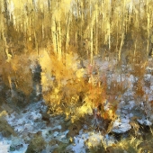 Bull (1) Img #3 Autumn Gold