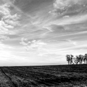 Church (1) Img #1 Holiday