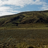 Duke (1) Img #2  Jordan Valley