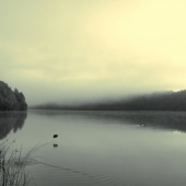 Grazenas (1) Img #2 Untitled 2