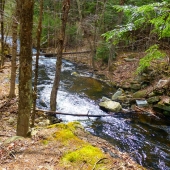 Haskell (1) Img #4  Rushing Mountain Stream