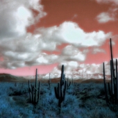 Heck (1) Img #3  Four Peaks Refuge