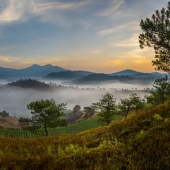 Hon. Mention - Photo - Pham (2) Img #5  Autum in Highland