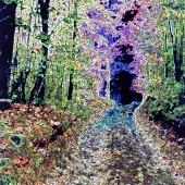 Leicht (1) Img #4 Road