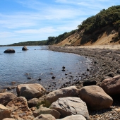 Shortt (1) Img #2  Montauk 1