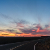 Steidl (1) Img #1 340