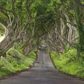 Untitled, 01/10/2014, 12:04, 16C, 2960x3625 (429+731), 100%, ten stop S cur,   1/8 s, R41.6, G15.1, B39.4