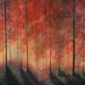 Magone (1) Img #2  Good Morning