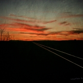 McKelroy (1) Img #1 Into the Sun