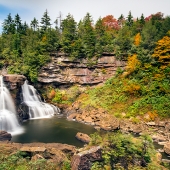 Raia (1) Img #2 Blackwater Falls