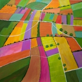 Cultivated Summer Fields