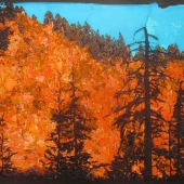 Sollinger (1) Img #1 Foreshadow