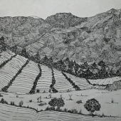 Tafari-Tafrow (3) Img #1  Hills and Valleys