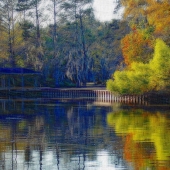 GEDSC DIGITAL CAMERA