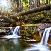 Alessandria (1) Img #2 Dingmans Falls 1