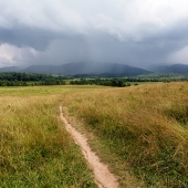 Austen (1) Img #1  Cades Storm