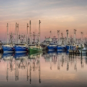 Bongiorno (1) Img #5 Waiting 'til Morn