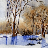 Bragdon (1) Img #5  Winter in NH