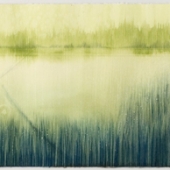 Brandon (1) Img #1 Cuyahoga Valley Wetland Study