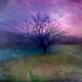 DIVERSITY Digital Painting by Tlynn Brentnall