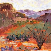 Deitch (1) Img #2 Cholla Trail