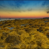 Domkowski (2) Img #4 Sunrise at Seal Cove