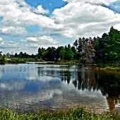 Engle (1) Img #4 Seney Wildlife Refuge