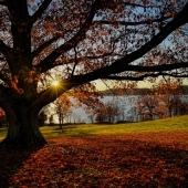 Friedkin-J (1) Img #1  Hudson Light