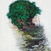 Hoye (2) Img #1 Mangrove