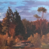 Jost (1) Img #1 Queensland Sunset