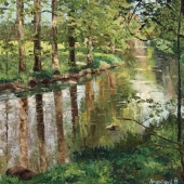 Krupickova (1) Img #1  River Sazava_