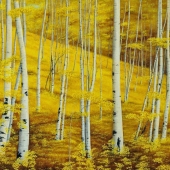 Kucharyson (1) Img #4  Aspen Grove
