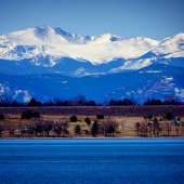 Lilley (1) Img #1 Lakeside in Colorado