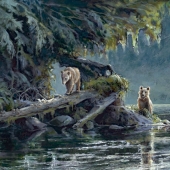 McMillan (1) Img #1 Bear With Me