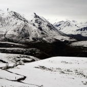 Trevino (1) Img #2 Isolation