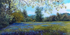 I - OA - 5th Place - Paint - Ince (1) Img #1  Allshtellach Bluebells