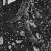 92p.    Nancy Wolitzer - “Heaventree” – www.nancywolitzer.com