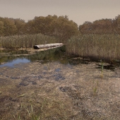 James H. Marks - “Evolution” – www.jameshmarks.com