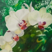 Livia Doina Stanciu – “Orchids Dance” - https://liviastanciu.mystrikingly.com/