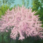 Livia Doina Stanciu – “Fireworks in an Apricot Tree” - https://liviastanciu.mystrikingly.com/